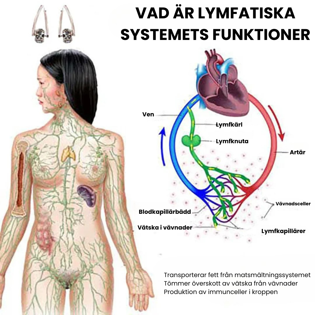 LymphaGem™ - Örhängen med Lymfatisk Magnetterapi