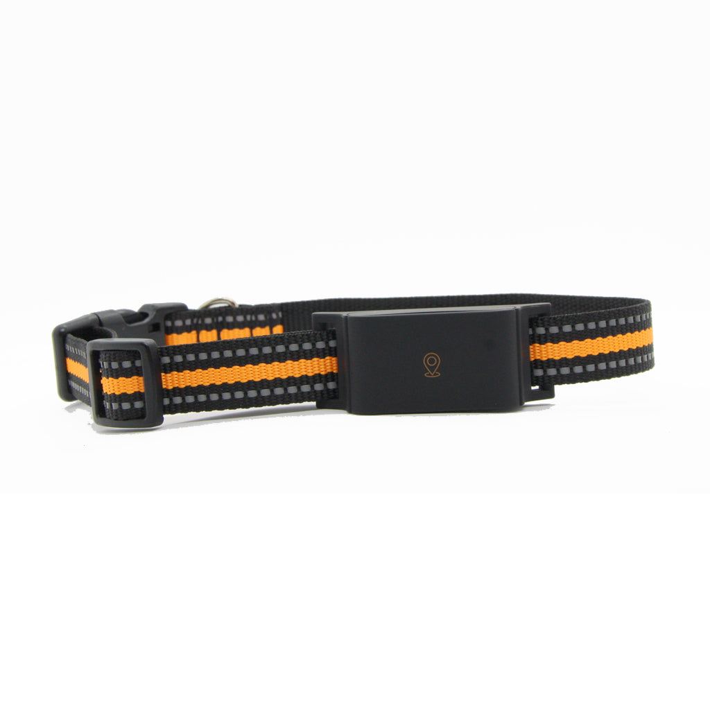 PawTrack™ - GPS Hundhalsband Tracker