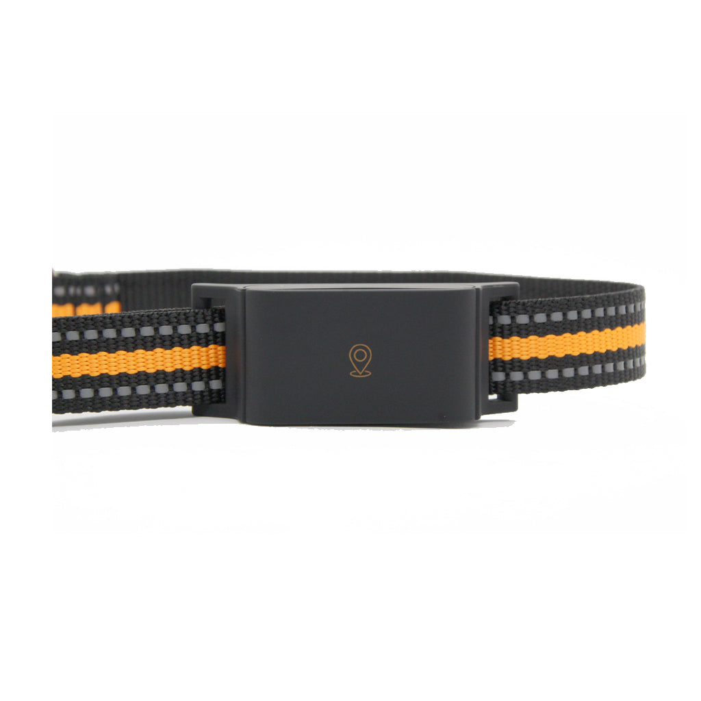 PawTrack™ - GPS Hundhalsband Tracker