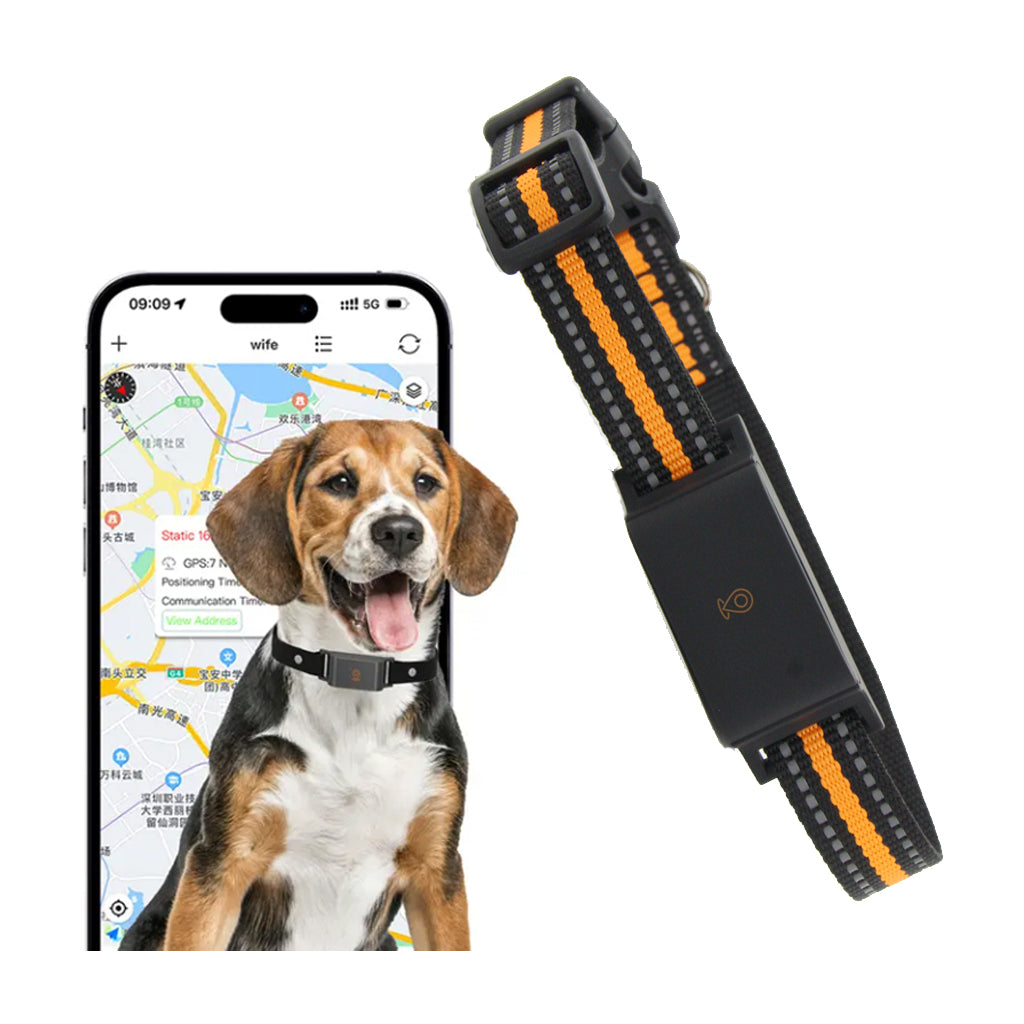 PawTrack™ - GPS Hundhalsband Tracker