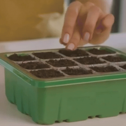 GrowGlow™ - Inomhusväxthus Med LED Och Luftcirkulation