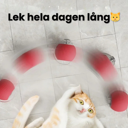 PurrBall™ - Självrullande Kattleksak