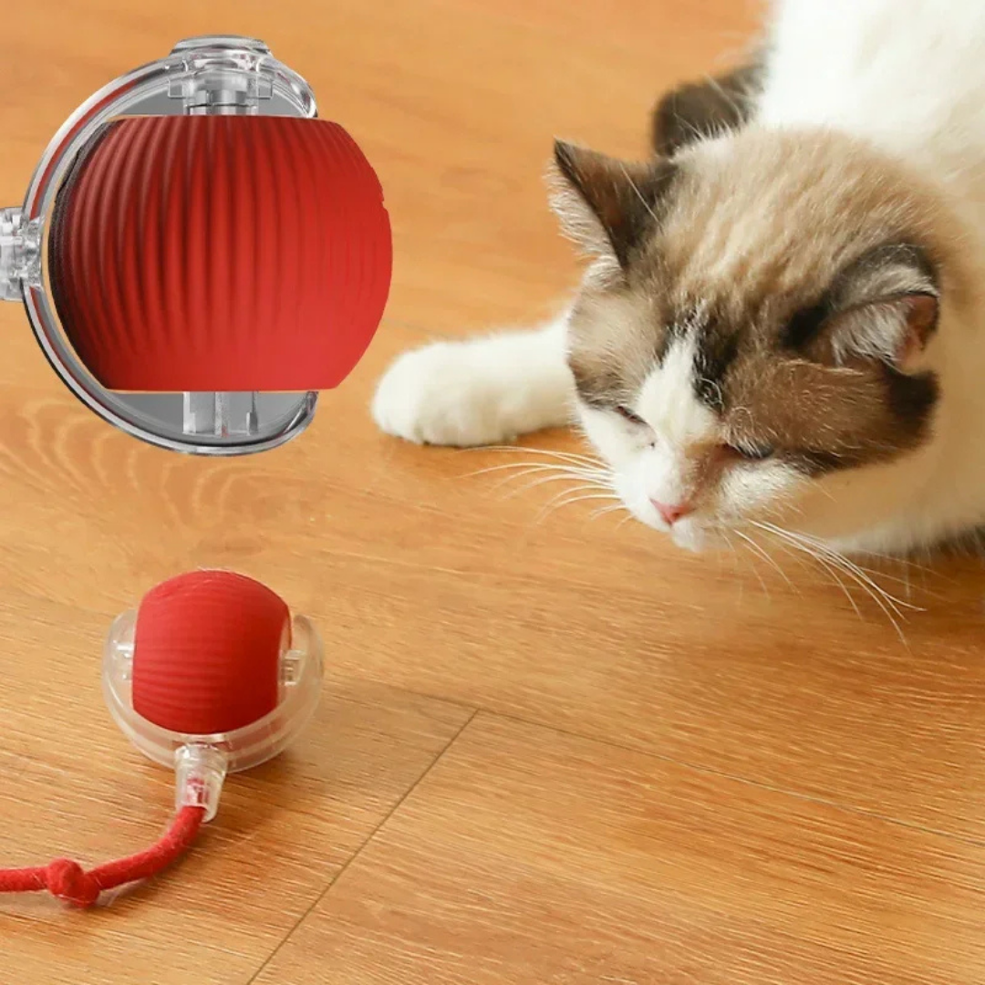 PurrBall™ - Självrullande Kattleksak