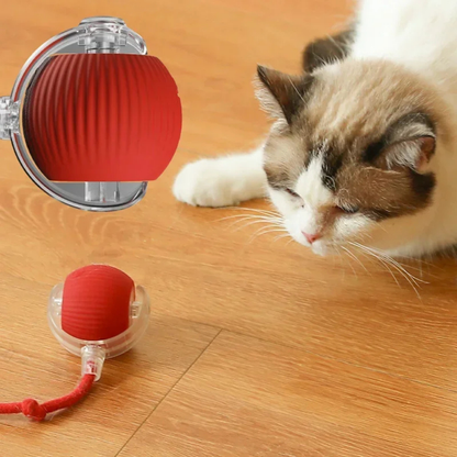 PurrBall™ - Självrullande Kattleksak