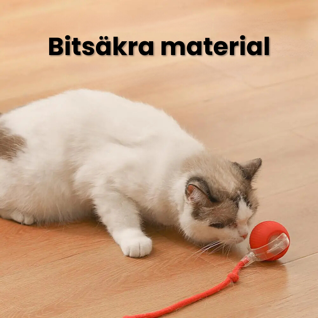 PurrBall™ - Självrullande Kattleksak