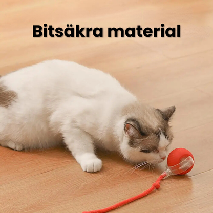 PurrBall™ - Självrullande Kattleksak