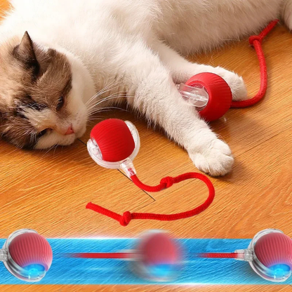 PurrBall™ - Självrullande Kattleksak