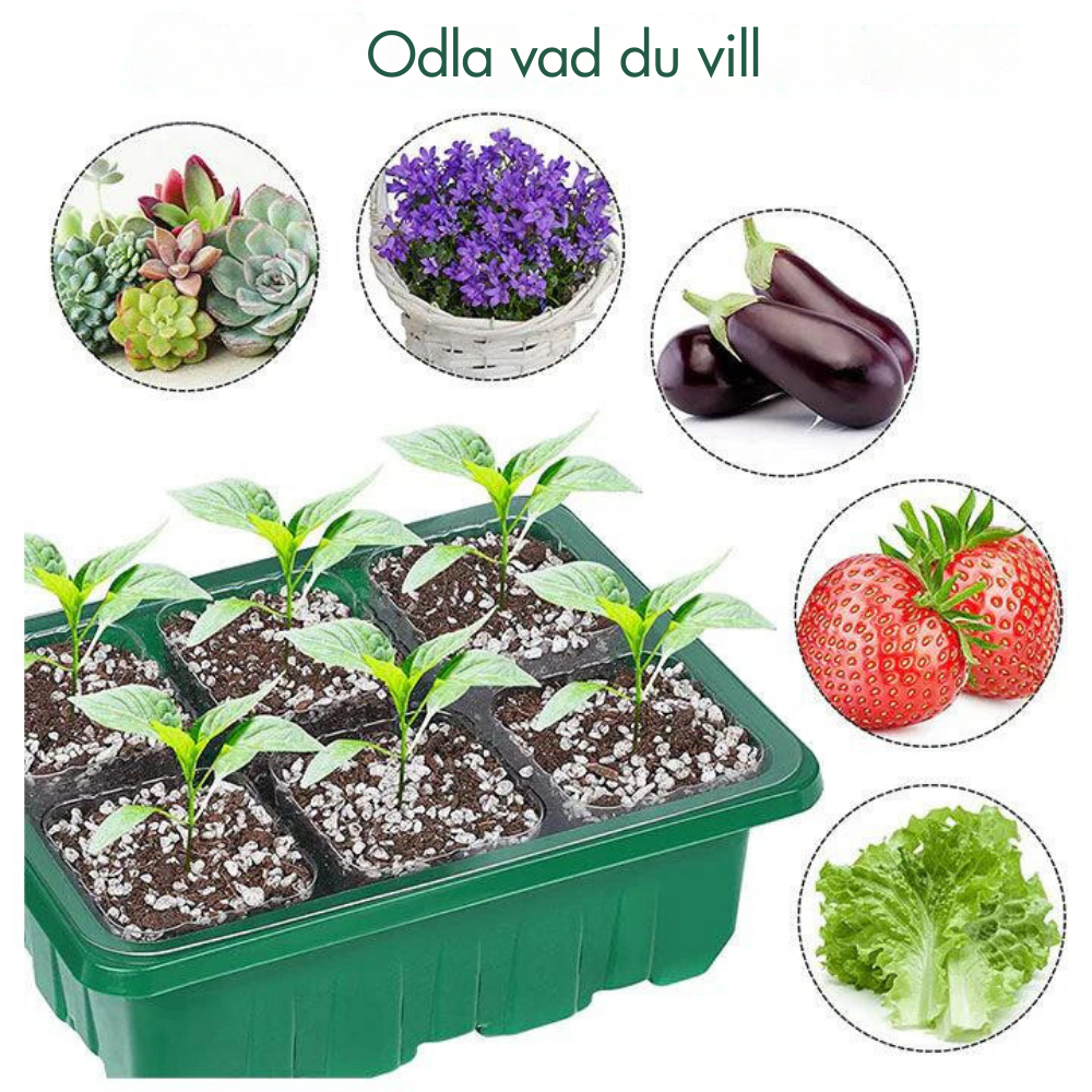 GrowGlow™ - Inomhusväxthus Med LED Och Luftcirkulation