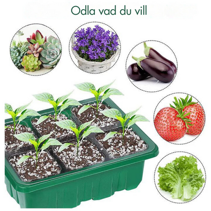 GrowGlow™ - Inomhusväxthus Med LED Och Luftcirkulation