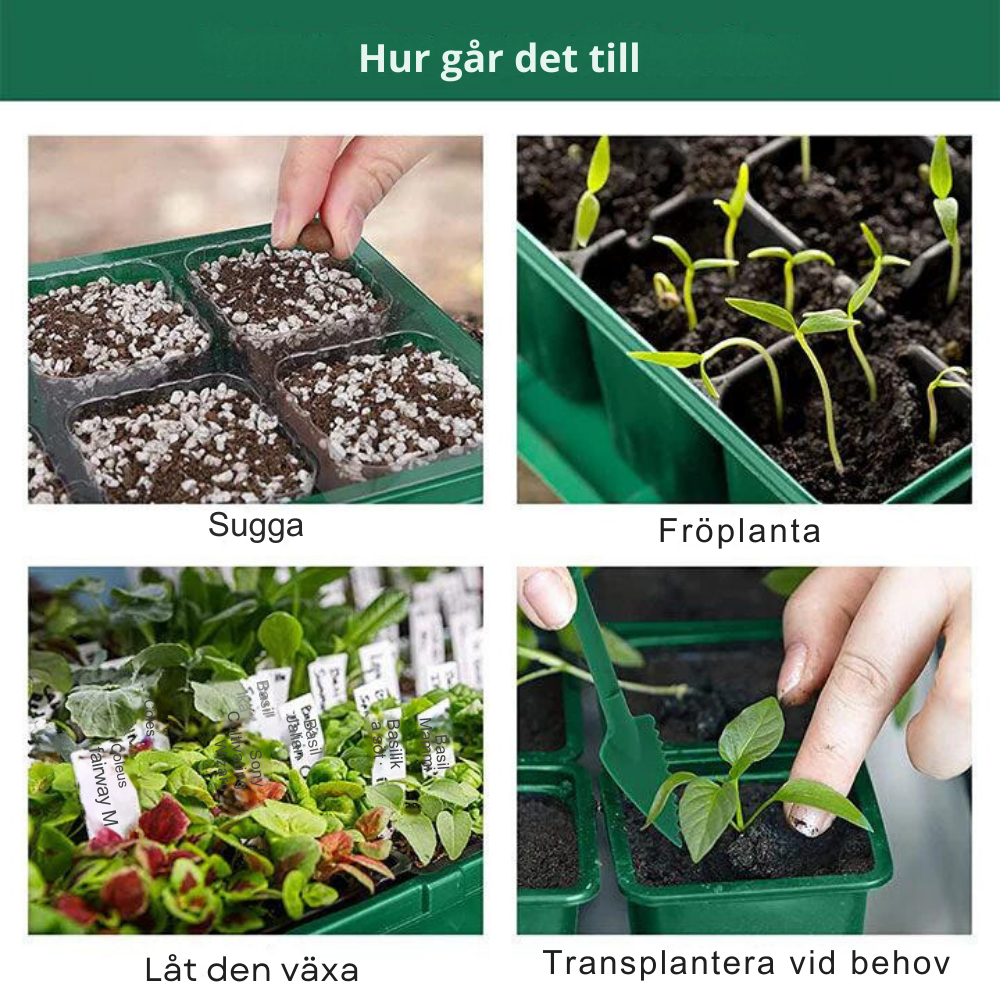 GrowGlow™ - Inomhusväxthus Med LED Och Luftcirkulation