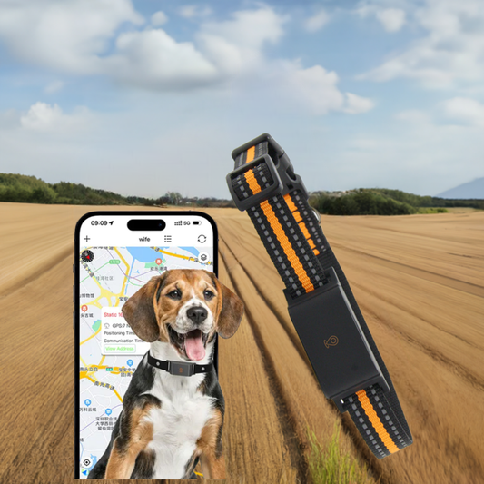 PawTrack™ - GPS Hundhalsband Tracker