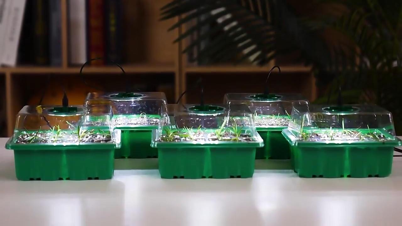 GrowGlow™ - Inomhusväxthus Med LED Och Luftcirkulation
